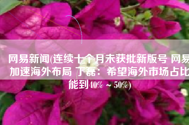 网易新闻(连续十个月未获批新版号 网易加速海外布局 丁磊：希望海外市场占比能到40%～50%)