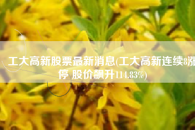 工大高新股票最新消息(工大高新连续8涨停 股价飙升114.83%)