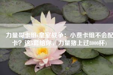力量哥卡组(皇室战争：小费卡组不会配卡？这5套给你，力量猪上过8000杯)
