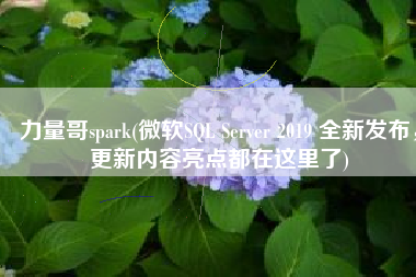 力量哥spark(微软SQL Server 2019 全新发布，更新内容亮点都在这里了)