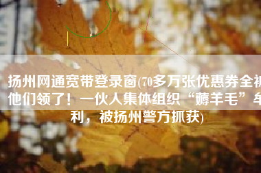 扬州网通宽带登录窗(70多万张优惠券全被他们领了！一伙人集体组织“薅羊毛”牟利，被扬州警方抓获)