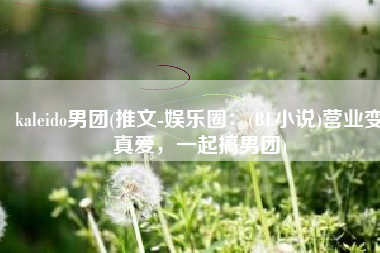 kaleido男团(推文-娱乐圈：(BL小说)营业变真爱，一起搞男团)
