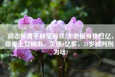 胡志标妻子林莹现状(大老板身价过亿，却爱上女秘书，欠债4亿多，31岁被判刑，为啥)