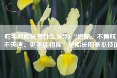 舵手和船长有什么区别(“稳舵、不偏航、不失速、更不能相撞”是船长的基本技能)