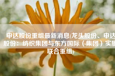 申达股份重组最新消息(龙头股份、申达股份：纺织集团与东方国际（集团）实施联合重组)