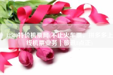 12580特价机票网(不止火车票，拼多多上线机票业务｜旅讯8点正)