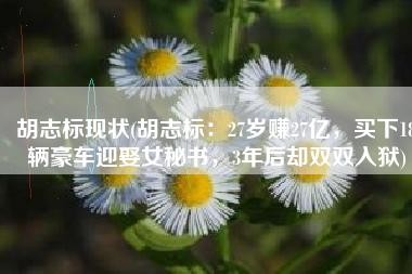 胡志标现状(胡志标：27岁赚27亿，买下18辆豪车迎娶女秘书，3年后却双双入狱)