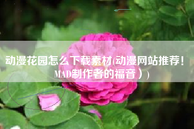 动漫花园怎么下载素材(动漫网站推荐！（MAD制作者的福音）)