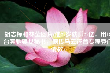 胡志标和林莹图片(他27岁就赚27亿，用18台奔驰娶女秘书，据传马云还曾专程登门请教)