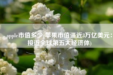 apple市值多少(苹果市值逼近3万亿美元：接近全球第五大经济体)
