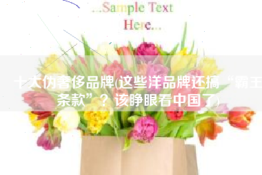 十大伪奢侈品牌(这些洋品牌还搞“霸王条款”？该睁眼看中国了)