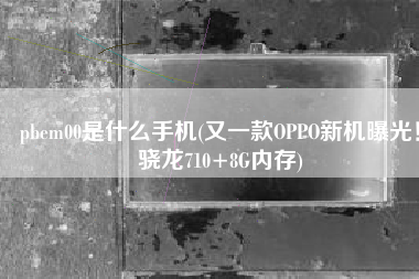 pbem00是什么手机(又一款OPPO新机曝光！骁龙710+8G内存)