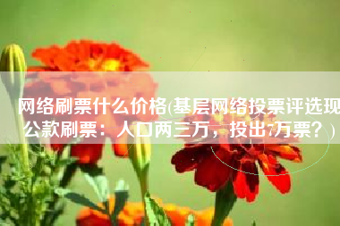 网络刷票什么价格(基层网络投票评选现公款刷票：人口两三万，投出7万票？)