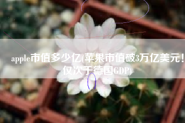 apple市值多少亿(苹果市值破3万亿美元！仅次于德国GDP)