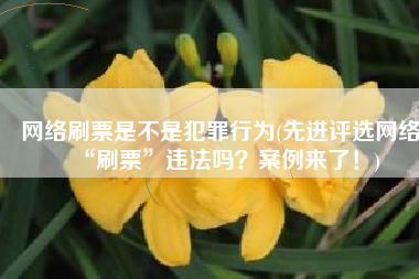 网络刷票是不是犯罪行为(先进评选网络“刷票”违法吗？案例来了！)