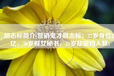 胡志标简介(营销鬼才胡志标：27岁身价27亿，30岁娶女秘书，31岁却锒铛入狱)