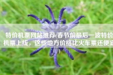 特价机票网站推荐(春节前最后一波特价机票上线，这些地方价格比火车票还便宜)