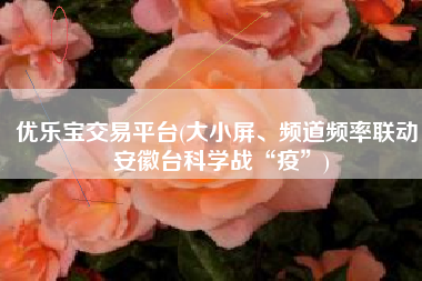 优乐宝交易平台(大小屏、频道频率联动，安徽台科学战“疫”)