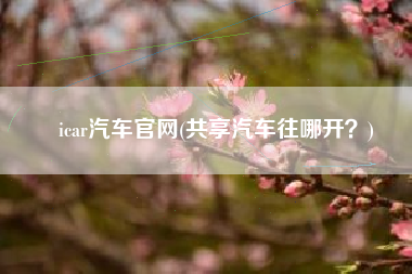 icar汽车官网(共享汽车往哪开？)