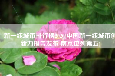 新一线城市排行榜2020(中国新一线城市创新力报告发布 南京位列第五)