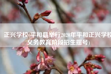 正兴学校(平和县举行2020年平和正兴学校义务教育阶段招生摇号)