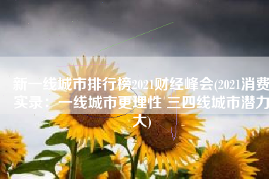 新一线城市排行榜2021财经峰会(2021消费实录：一线城市更理性 三四线城市潜力大)