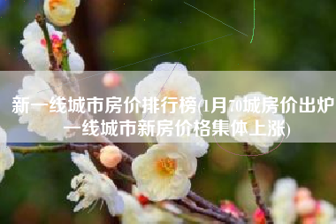 新一线城市房价排行榜(1月70城房价出炉！一线城市新房价格集体上涨)