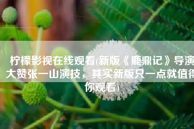 柠檬影视在线观看(新版《鹿鼎记》导演大赞张一山演技，其实新版只一点就值得你观看)