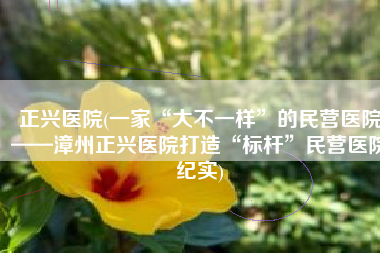 正兴医院(一家“大不一样”的民营医院——漳州正兴医院打造“标杆”民营医院纪实)