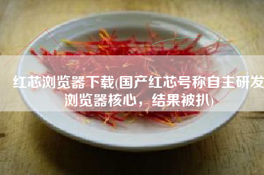红芯浏览器下载(国产红芯号称自主研发浏览器核心，结果被扒)