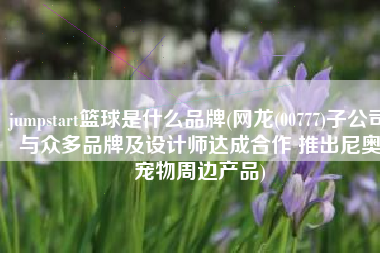 jumpstart篮球是什么品牌(网龙(00777)子公司与众多品牌及设计师达成合作 推出尼奥宠物周边产品)