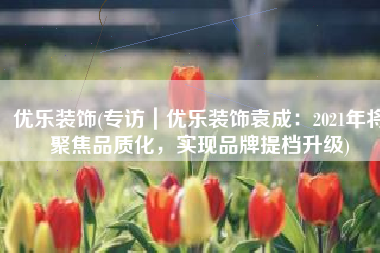 优乐装饰(专访｜优乐装饰袁成：2021年将聚焦品质化，实现品牌提档升级)