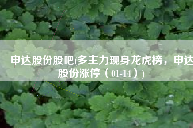 申达股份股吧(多主力现身龙虎榜，申达股份涨停（01-14）)
