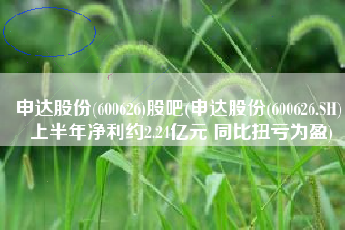 申达股份(600626)股吧(申达股份(600626.SH)：上半年净利约2.24亿元 同比扭亏为盈)