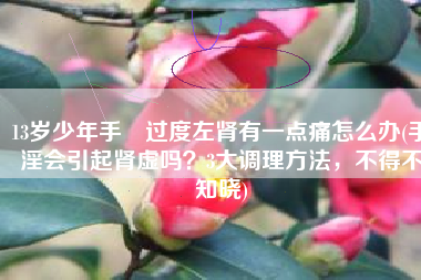 13岁少年手婬过度左肾有一点痛怎么办(手淫会引起肾虚吗？3大调理方法，不得不知晓)