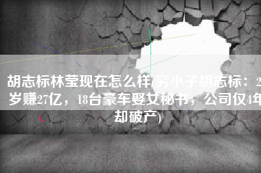 胡志标林莹现在怎么样(穷小子胡志标：27岁赚27亿，18台豪车娶女秘书，公司仅4年却破产)