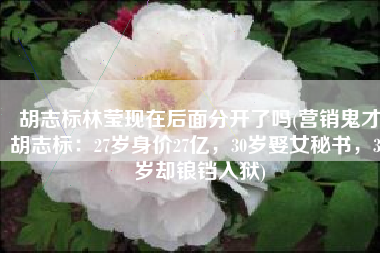 胡志标林莹现在后面分开了吗(营销鬼才胡志标：27岁身价27亿，30岁娶女秘书，31岁却锒铛入狱)