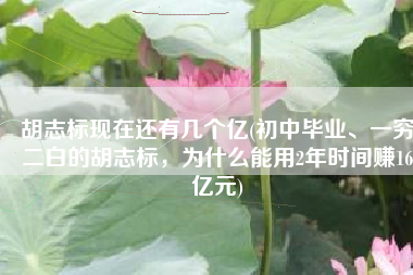 胡志标现在还有几个亿(初中毕业、一穷二白的胡志标，为什么能用2年时间赚16亿元)
