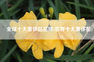 全球十大奢侈品品牌(世界十大奢侈品)