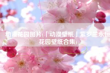 动漫花园图片(「动漫壁纸」紫罗兰永恒花园壁纸合集)