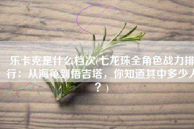 乐卡克是什么档次(七龙珠全角色战力排行：从海龟到悟吉塔，你知道其中多少人？)