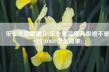 乐卡克品牌简介(乐卡克品牌升级绝不是一个LOGO这么简单)