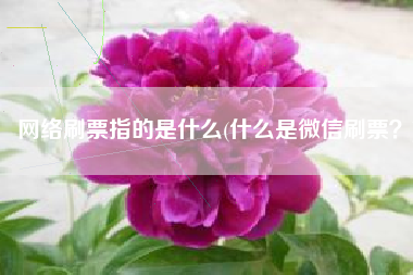 网络刷票指的是什么(什么是微信刷票？)