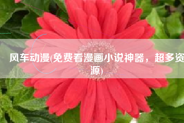 风车动漫(免费看漫画小说神器，超多资源)
