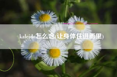 kaleido怎么念(让身体住进画里)