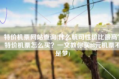 特价机票网站查询(什么航司性价比最高？特价机票怎么买？一文教你买88元机票不是梦)