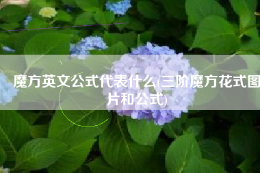 魔方英文公式代表什么(三阶魔方花式图片和公式)