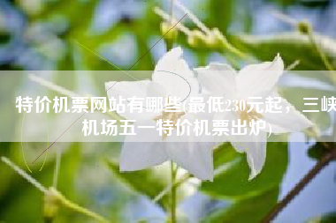 特价机票网站有哪些(最低230元起，三峡机场五一特价机票出炉)