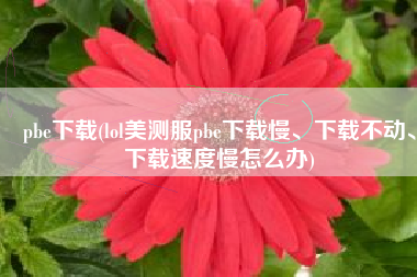 pbe下载(lol美测服pbe下载慢、下载不动、下载速度慢怎么办)