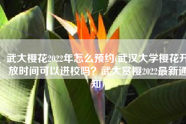 武大樱花2022年怎么预约(武汉大学樱花开放时间可以进校吗？武大赏樱2022最新通知)